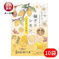 南信州菓子工房　輪切りレモン レモネード味 24g×10袋【送料無料】国産 レモン れもん 檸檬 半生 ドライ…