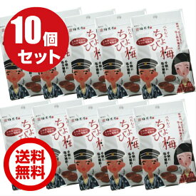 紀州梅100％ 使用 天日乾燥梅肉 ぺたんこちょび梅 10袋 メール便【送料無料】 安心の 無添加 国産 和歌山産包装不可 道の駅【送料無料】