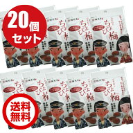 紀州梅100％ 使用 天日乾燥梅肉 ぺたんこちょび梅 20袋 メール便【送料無料】 安心の 無添加 国産 和歌山…