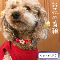 犬 首輪 小型犬 犬首輪 首輪 犬 犬用首輪 いぬ 中型犬 おしゃれ かわいい ペット用品
