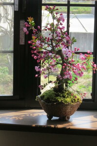 ̓̃v[głԌ2025N5ɊJԃniJChE~́@j̃v[g niJChE ԃJChE~͏tɊJԁ@YȂԂy߂܂