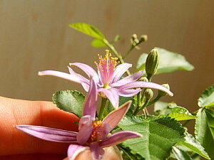 2025N~j~́y~́z@~j~́@ XCؖ~͂Ԃ̍Dȕɂav[g