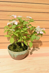 2023NMtgɁygzR@Rzԁ@NiC@FωԍJԏIĂA肵Ԃł̂͂ɂȂ܂