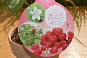 y剤zEgYx[@bhh[@eRb^@P[L@䕁@Â@sȂ@