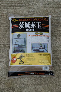 ԋʁidj@ɏi~͗pԋʁ@{ 10bg