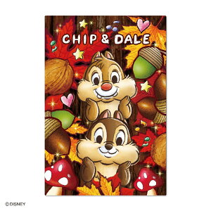 _CS[@3D|XgJ[h nbs[tHXg S4710