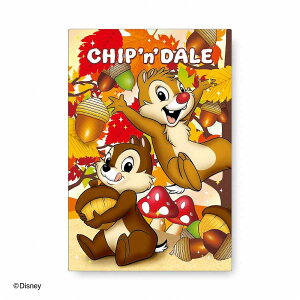 _CS[@3D|XgJ[h@nbs[fC S4736