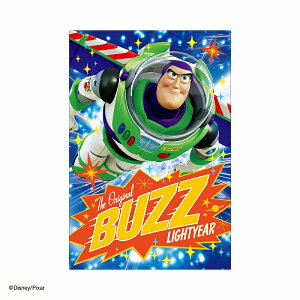 _CS[@3D|XgJ[h@̔ޕց@ S4790