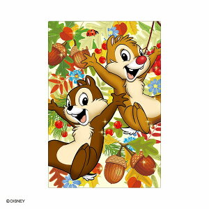 _CS[@3D|XgJ[h@WvtH[WC@ S4795