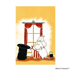 _CS[@3D|XgJ[h̃[~fUC S8