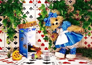 _CS[@S3034 sisa 3D|XgJ[h _[nEX S3034