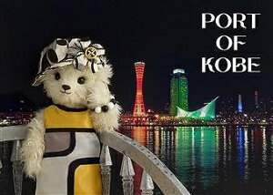 _CS[@S3060 sisa 3D|XgJ[h _ˍ`