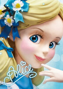 _CS[@sisa 3D|XgJ[h N[YAbvV[Y AX S3662