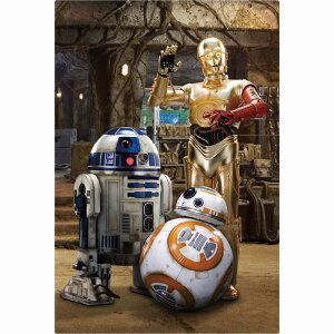_CS[@S3709 3D|XgJ[h X^[EEH[Y/tH[X̊o C-3PO R2-D2 BB-8 All-star Droids