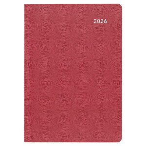 �_�C�S�[�@2026-27�N4���n�܂�@�~�� MILL CROCO 1�T�ԁ{����