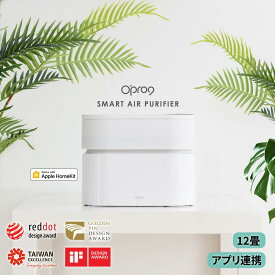 空気清浄機 脱臭 PM2.5 静音 抗菌 コンパクト 省エネ 6畳 花粉対策 空気清浄器 スマホ 制御 ウイルス対策 マイナスイオン 節電 集じん【Opro9】【台湾エクセレンス】【日本国内発送】【送料無料】smart