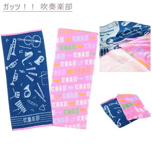tFCX^I 2g 34×80cm 100 k  X|[c ybg   t[c XC[c WK[h ^I Zbg  1000~|bL 