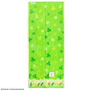 tFCX^I sN~ sN~[h 34×80cm LN^[ CV ^I Q R hL |Xg