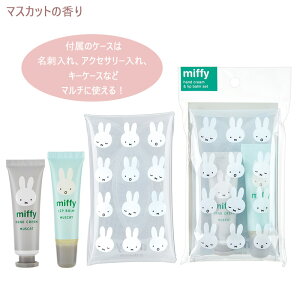 nhN[ / bvo[ ~btB[ P[XCnhbvZbg fBbNu[i v`Mtg