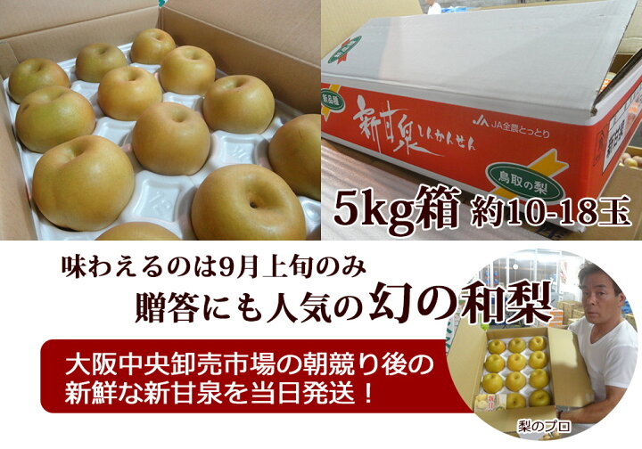 楽天市場 ギフトパーク 鳥取の梨 新甘泉 しんかんせん 5kg 10 18玉 送料無料 ギフトパーク 果物 フルーツ通販