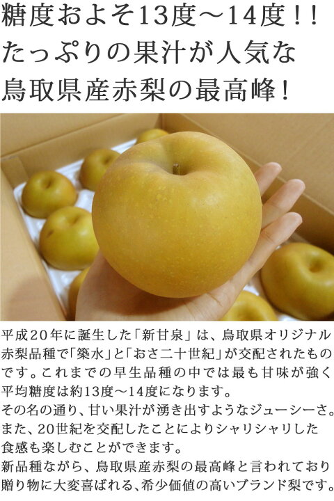 楽天市場 ギフトパーク 鳥取の梨 新甘泉 しんかんせん 5kg 10 18玉 送料無料 ギフトパーク 果物 フルーツ通販