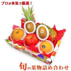 yʕ lߍ킹z{̉ʕlߍ킹  jt[cZbg   a p 蕨 荇킹 oYj җj Êj  j t[cMtg o[Xf[