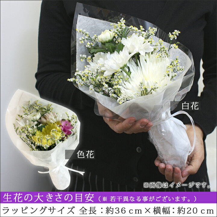 楽天市場 ギフトパーク お供え 果物 詰め合わせ 生花付き よ お忌み お供え 法事 御供 御霊前 法要 御仏前 御供え 籠盛 盛り合わせ くだもの かご 葬儀 お盆 仏事 四十九日 一周忌 三回忌 七回忌 初盆 新盆 果物盛りかご 季節の果物 フルーツ 送料無料 翌日配達 あす
