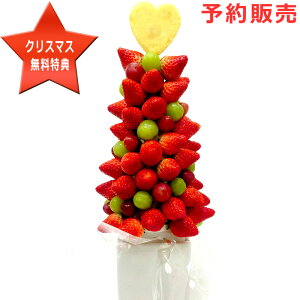 y^[zʕ C`S  lߍ킹 t[c^[ Mtg Jbgt[c CX^f TvCY v[g LO j ʔ 蕨 XC[c t[cP