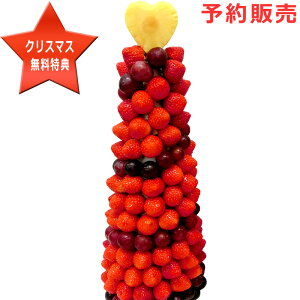 y^[BIGzʕ C`S  lߍ킹 t[ct[ Jbgt[c荇킹 TvCY v[g LO j a ʔ 蕨 XC[c CX^