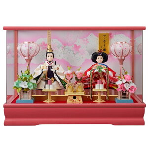 y|Cg5{zl` e  ߏ֒eANP[X ЂȐl` ߋl` ߋ ̐ߋ ЂȍՂ j Y e P[X ANP[X y RpNg