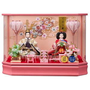 y|Cg5{zl` ₩e ߏ֒ZpANP[X ЂȐl` ߋl` ߋ ̐ߋ ЂȍՂ j Y e P[X ANP[X y RpNg