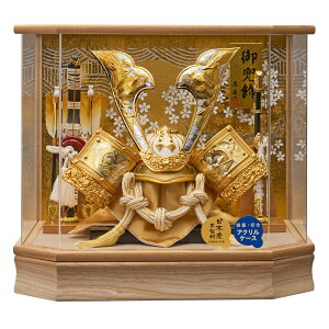 yGg[P5{z܌l` ANP[XZpR ߋ储j ܌l`  P[X [߂̐ߋ ǂ̓ ߋj  RpNg