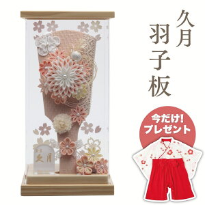 v Hq ܂ݍ׍HT[ ANP[XHq   g N  킢