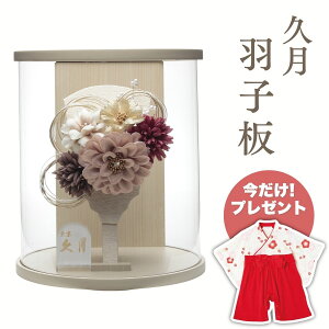 yGg[P5{zv Hq mԃC O[W~ANP[XHq   g N 