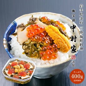 海宝漬 中村家 雅（400g）うに あわび いくら めかぶ 海宝漬け おかず つまみ おつまみ お酒 酒 ご飯 三陸産 岩手 大容量 海鮮 お得 ギフト プレゼント 贈り物 贈答 お礼 お祝い 食品 食べ物 父の日 母の日