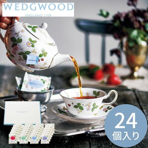 EFbWEbh ChXgx[eB[obOZbg 24 WEWT-24 Mtg v[g Ԃ j j oYj ii j oYj Ԃ z V Əj w