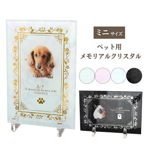 yGg[P5{zybg AObY Ki ~j 10×14cm ybgʔv A NX^ 嗝 d { `   ʐ^ bZ[W X^ht ̋  L  