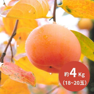 ÌR݂炸` 18` 20(4kg) (11{`ȍ~) (ԁF1128܂) Ε N Nn ~Mtg 2025 j oYj Vzj zj ސEj lC   
