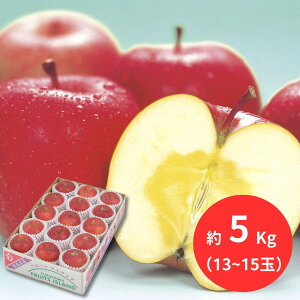 YnTӂ G 5kg(13`15) (12{`ȍ~) (ԁF126܂) Ε N Nn ~Mtg 2025 j oYj Vzj zj ސEj lC  