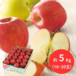 YTӂ 5kg(18`20) (12{`ȍ~) (ԁF126܂) Ε N Nn ~Mtg 2025 j oYj Vzj zj ސEj lC   