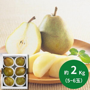 ݉̎R`YtX 2kg(5`6) (1110ȍ~) (ԁF1214܂) Ε N Nn ~Mtg 2025 j oYj Vzj zj ސEj lC   