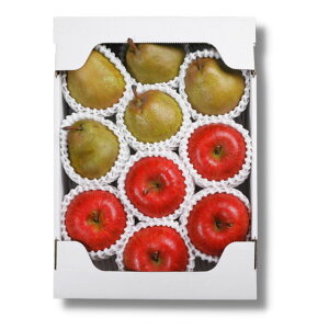 񂲁AtXl 2.5kg (121ȍ~) (ԁF1214܂) Ε N Nn ~Mtg 2025 j oYj Vzj zj ސEj lC    L