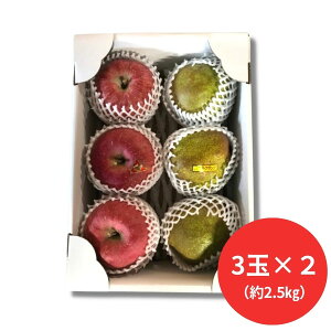 񂿂̎R`Y񂲁tX 2.5kg(3×2) (12{`ȍ~) (ԁF128܂) Ε N Nn ~Mtg 2025 j oYj Vzj zj ސEj lC 