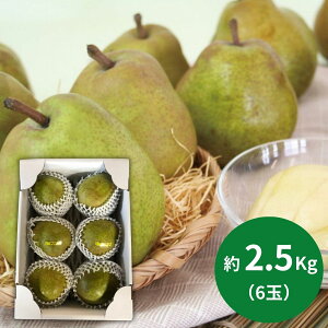 񂿂̎R`YtX 2.5kg(6) (12{`ȍ~) (ԁF128܂) Ε N Nn ~Mtg 2025 j oYj Vzj zj ސEj lC   