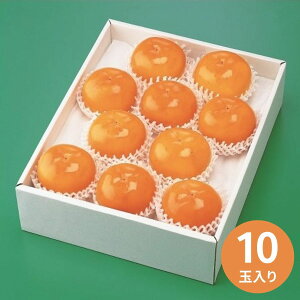 会津伝承会みしらず柿(10個) (11月下旬〜以降順次発送) (承り期間:11月28日まで) お歳暮 年賀 年始 冬ギフト 2025 結婚祝い 出産祝い 新築祝い 引越し祝い 退職祝い 人気 定番 高級 おしゃれ 記