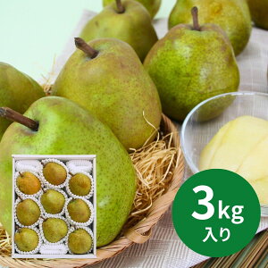RYʒI胉EtX 3kg(6`9) (1110ȍ~) (ԁF1214܂) Ε N Nn ~Mtg 2025 j oYj Vzj zj ސEj lC   