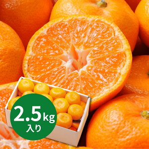 a̎RY Lc݂m2D5kgn (11{`12{ȍ~) (ԁF128܂) Ε N Nn ~Mtg 2025 j oYj Vzj zj ސEj lC   