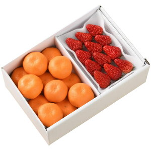 Ƃ݂ (11{`12{ȍ~) (ԁF128܂) Ε N Nn ~Mtg 2025 j oYj Vzj zj ސEj lC    LO 