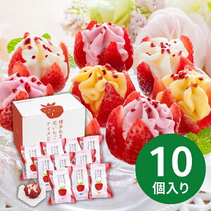 ܂ Ԃ̃ACX A-DRS (1110ȍ~) (ԁF1214܂) Ε N Nn ~Mtg 2025 j oYj Vzj zj ސEj lC   