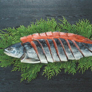 OY kC Vpؐg1.5kg (111ȍ~) (ԁF1212܂) Ε N Nn ~Mtg 2025 j oYj Vzj zj ސEj lC   